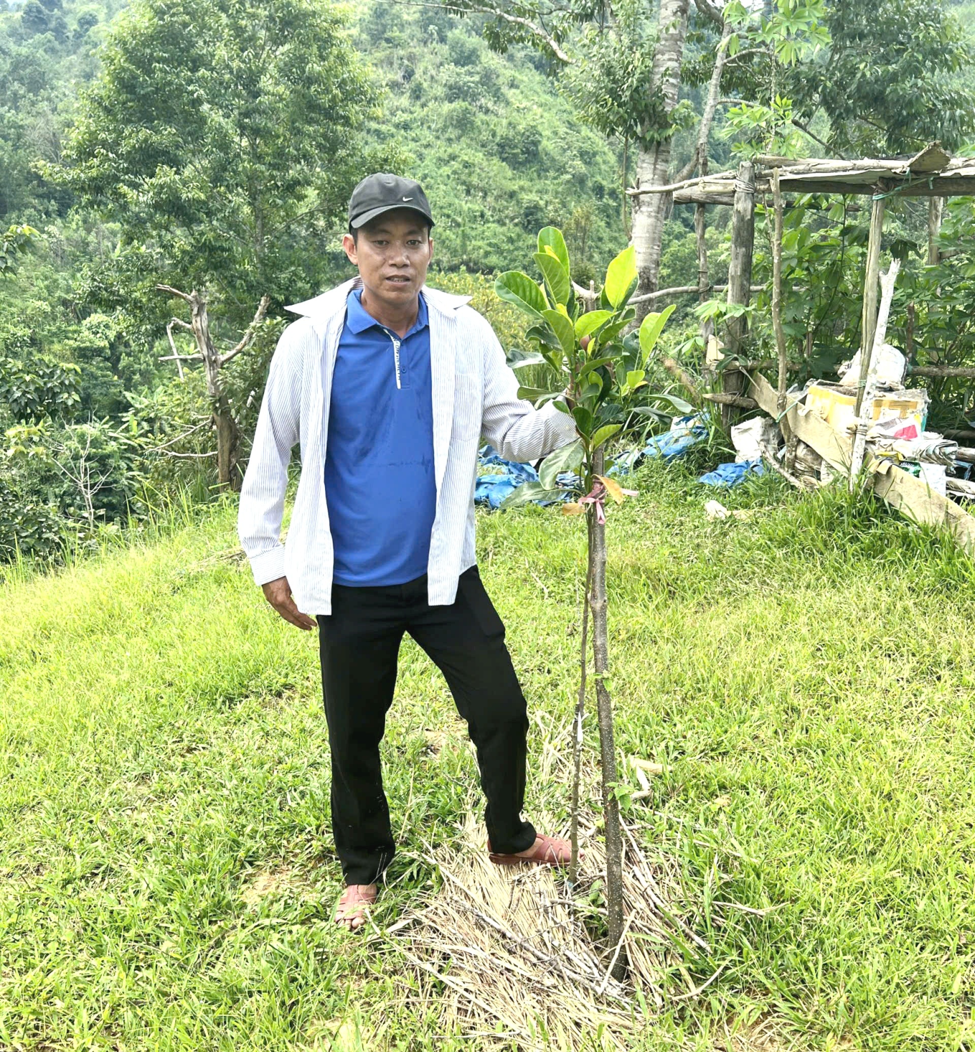 anh tin bai